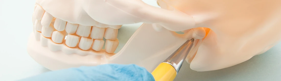 TMJ/TMD Treatment in Orange City FL TMJ/TMD Treatment in Orange City FL